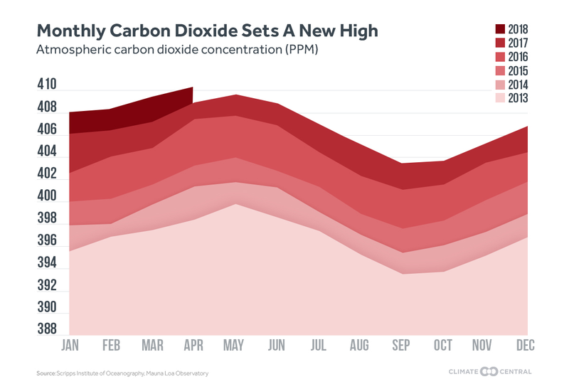 Year over year carbon dioxide levels since 2013.